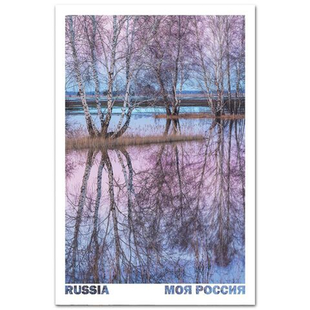 Половодье. Окрестности города Новоалтайск, Алтайский край