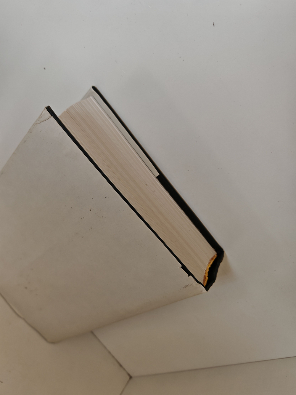 Марина Цветаева. Жизнь и творчество