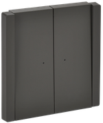 FORTE&PIANO Выключатель 2-клавишный с индикацией 10А FP306 серый IEK