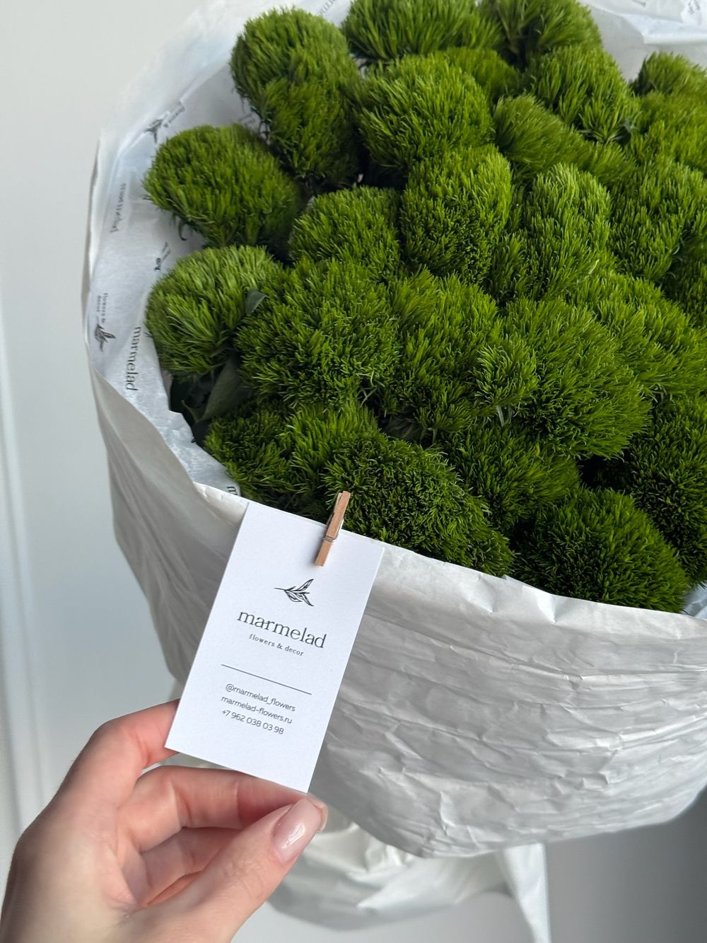 Моно букет из диантусов сорта Грин трик 35 шт