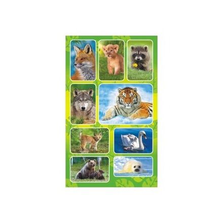 Наклейки Дикие животные, Зверушки Белая Ворона