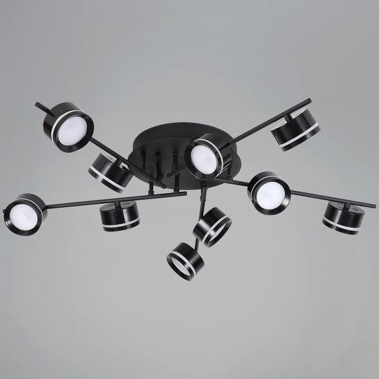 10590-0.3-10 Black светильник потолочный