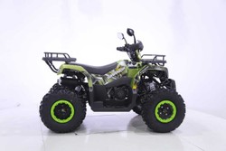 Квадроцикл YACOTA WARRIOR 200 PRO