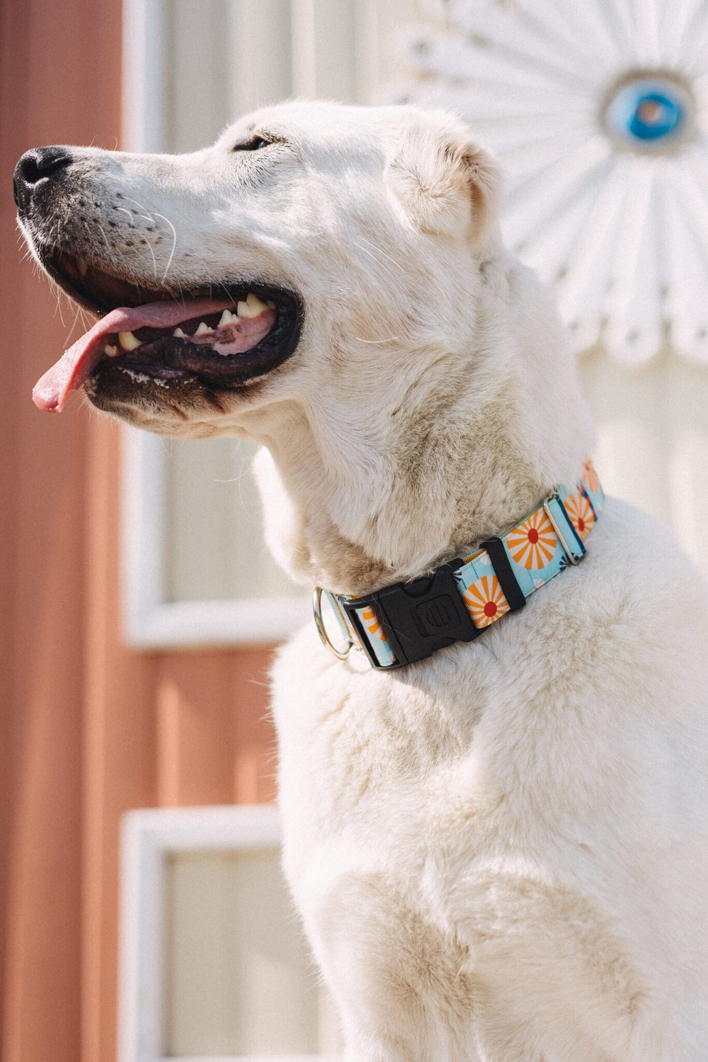 Ошейник Старо-Татарская слобода, наличие