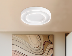 Ambrella Потолочный светодиодный светильник LineTech FL5821