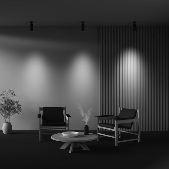 Потолочный светильник Technical C055CL-L20W2.7-3-4K-M-B