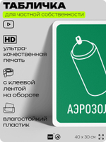 Табличка для сортировки отходов "Аэрозоли", для контейнеров, пунктов раздельного сбора, организаций и дворовых территорий, информационная, 40х30 см, Silver Plane x Айдентика Технолоджи