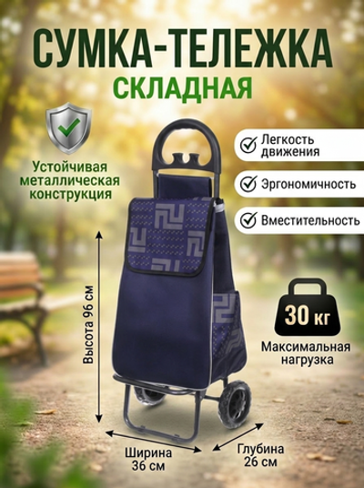 Тележка хозяйственная с сумкой (96*26*36см, колеса 15.5см,груз. до 30 кг.) синяя DC307GG