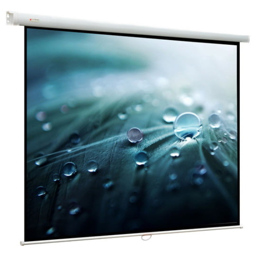 Экран  Viewscreen Lotus WLO-16114
