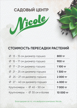 Услуга по пересадке растений