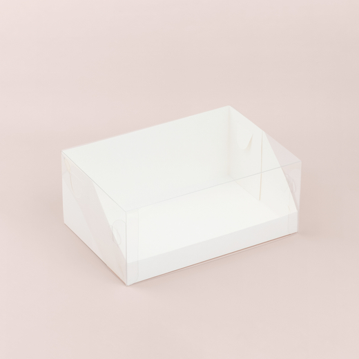 Коробка с пластиковой крышкой 235*160*100 мм