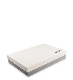 WF-04/1-B Коробка «Прямоугольник» цв.сер./бел.