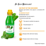ISB Fruit of the Groomer MENTA MINT Шампунь c ароматом мяты для любого типа шерсти с витамином В6, 500 мл.