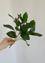 Куст лавр / Арт 6391