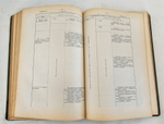 "Руководство по физиологии человека для врачей. Том 1". Профессор Н.Цунтц и профессор А.Леви. 1910 г.