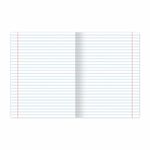 Тетрадь А5, 48 л., BRAUBERG ЭКО, линия, обложка картон, В СЕТИ, 401898, 5шт