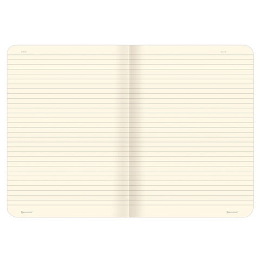 Тетради 60 л. в линию обложка SoftTouch, НАБОР 2 шт., бежевая бумага 70 г/м2, сшивка, B5 (179х250 мм), ВПЕЧАТЛЕНИЕ, BRAUBERG, 403825