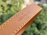 Louis Vuitton Dauphine MM