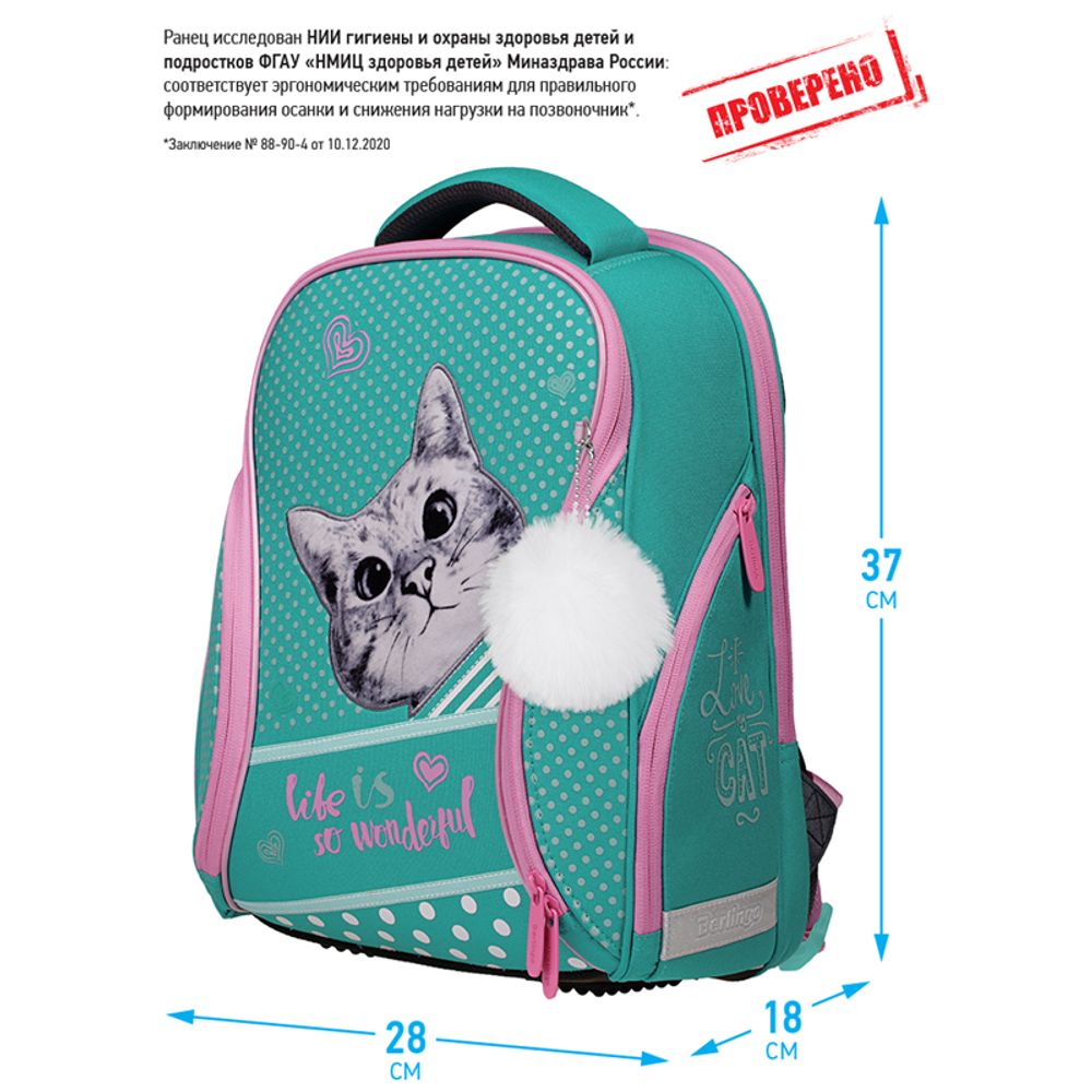 Ранец Berlingo Nova Curious cat 37х28х18см, 2 отдел., с анатомической спинкой