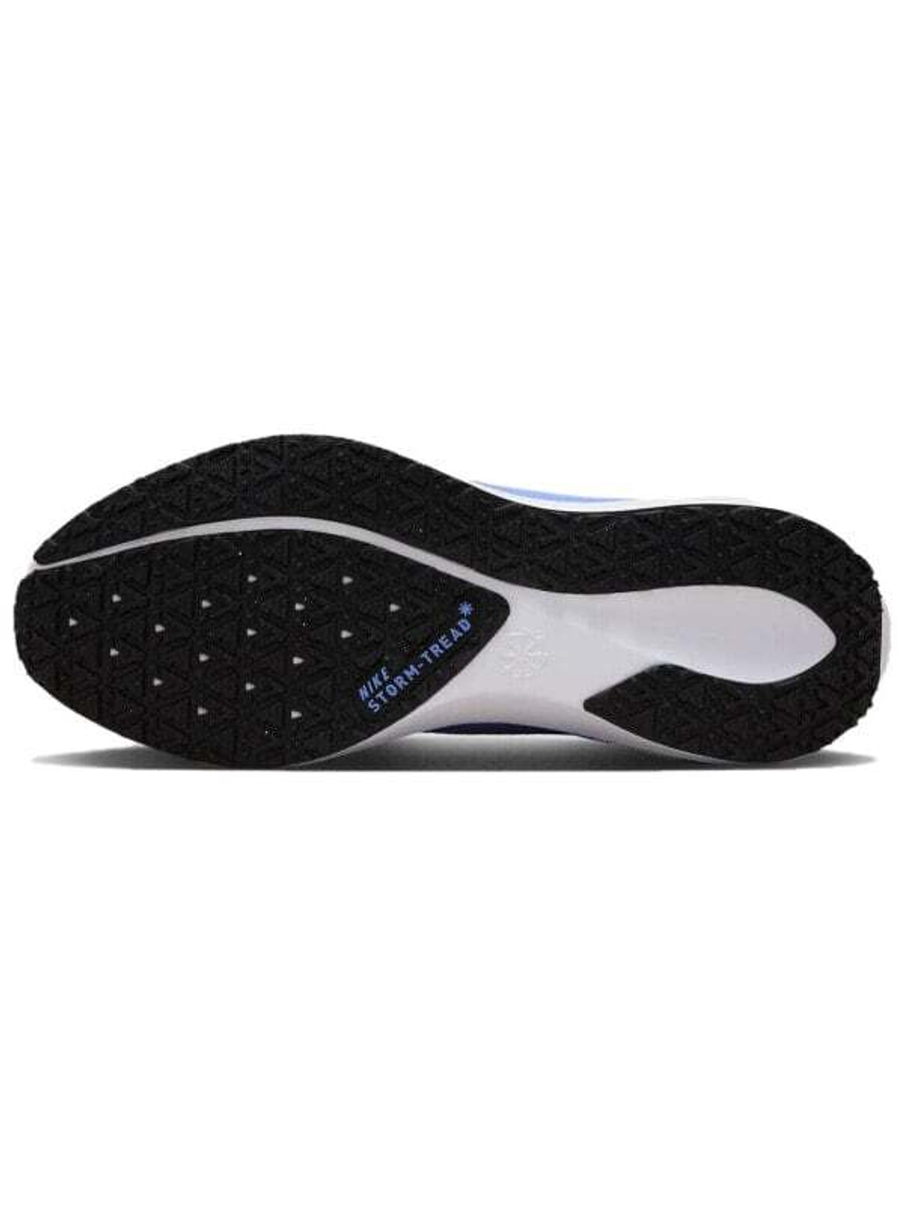 Кроссовки Nike Air Zoom Pegasus 41 Gore-Tex Cobalt