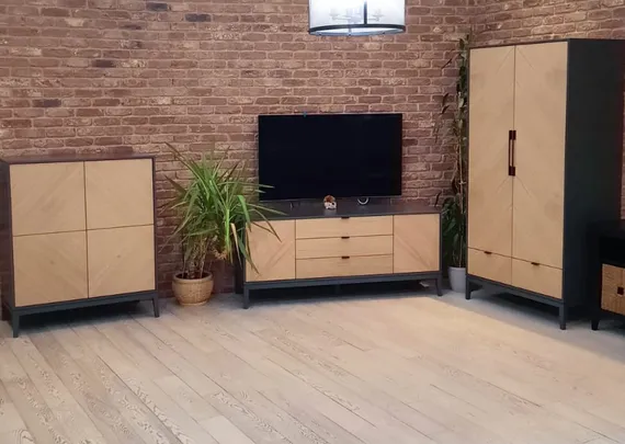 Шкаф Fjord 2-х створчатый (темно-серый)