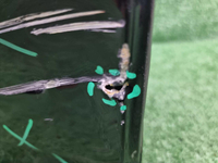 Дверь передняя правая BMW X3 G01 (2017-2024)