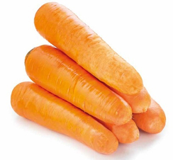 СВ 3118 F1 семена моркови курода/шантане (Seminis / Семинис)