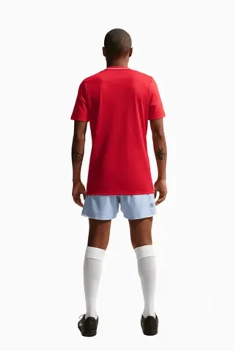 Футболка Nike Dri-FIT Park 26 - красный