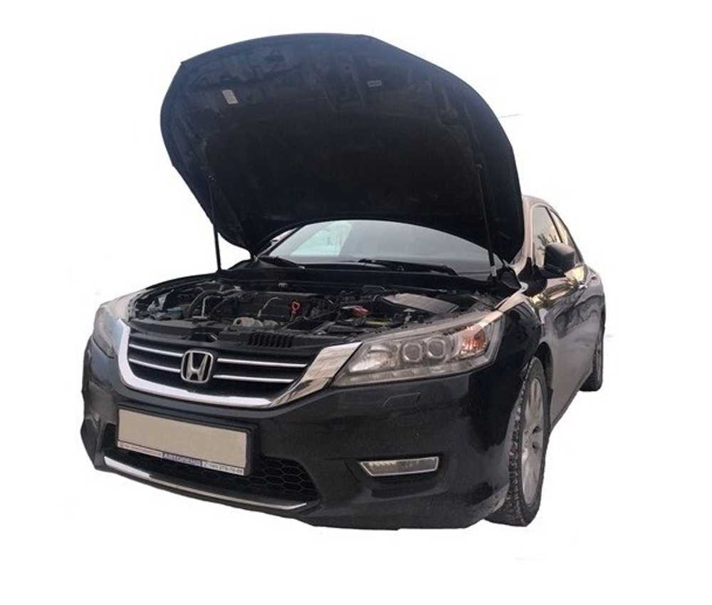 Амортизатор (упор) капота на Honda Accord 04-07(с 2014 по 2019 г.в.)Autoinnovation