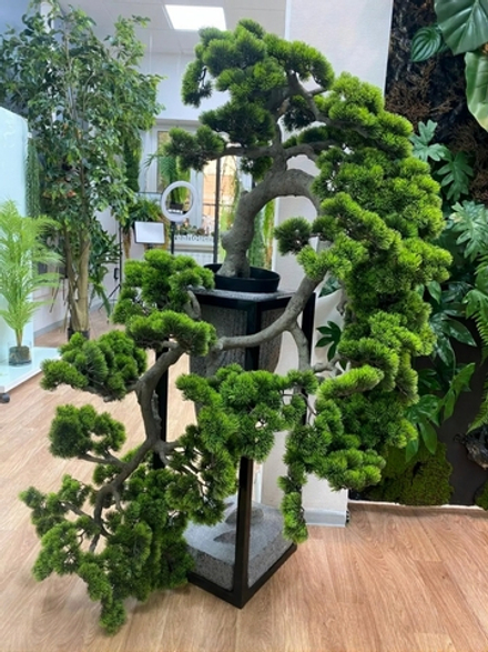 Бонсай каскад с длинной иглой в. 170см/ ш. 100 см