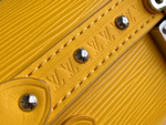 Louis Vuitton Papillon Trunk