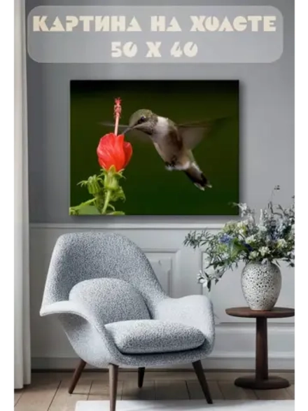 Картина на стену 40 X 50 Колибри