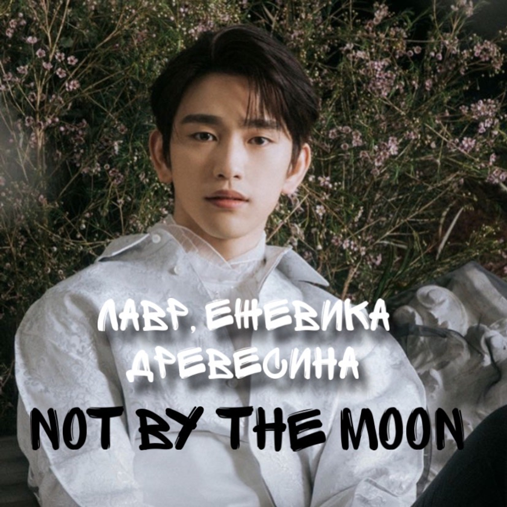 Гат7 - "Не луной|Not by the moon"