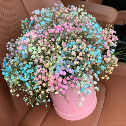 Композиция из разноцветной гипсофилы "Rainbow Mist"