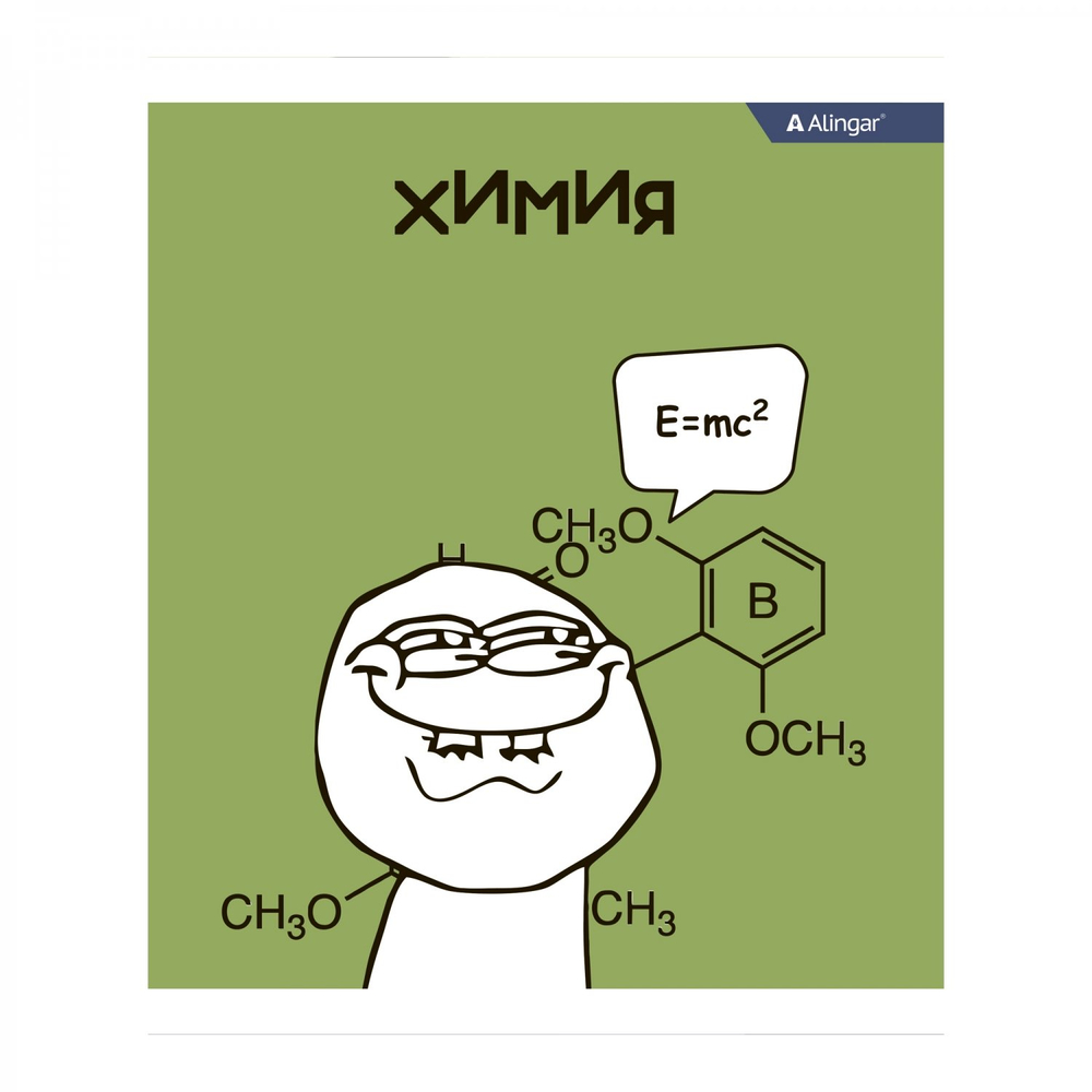 Комплект предметных тетрадей А5 48л., 10 предметов, со справ матер, скрепка, мелов. картон (стандарт), блок офсет, Alingar "Мемы"