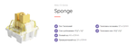 CS Sponge