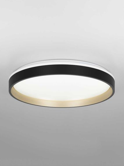 Светильник потолочный Citilux ENZO CL753451G