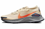 Кроссовки Nike Zoom Pegasus Trail 3 Gtx