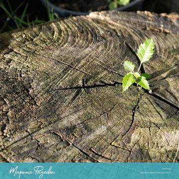 Создайте себя заново