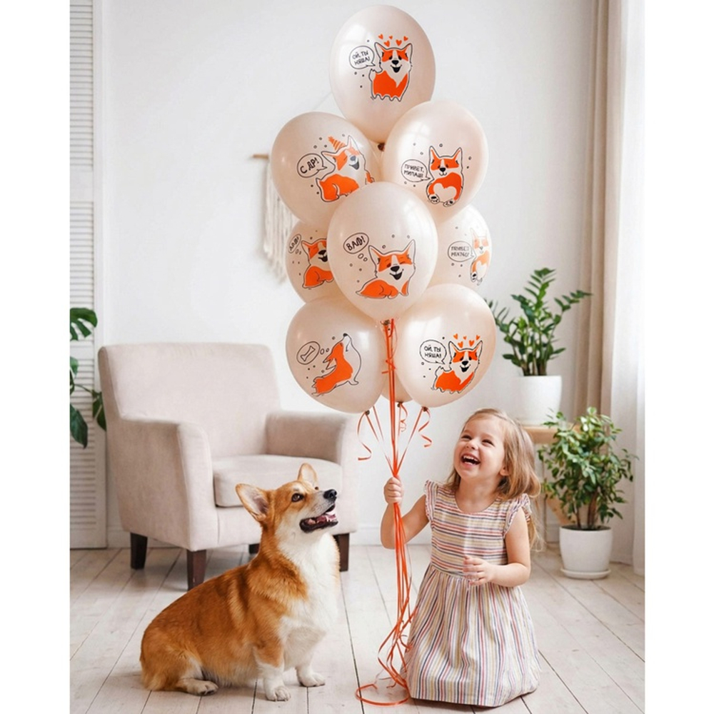 Латексный шар «С ДР! Корги», 36 см