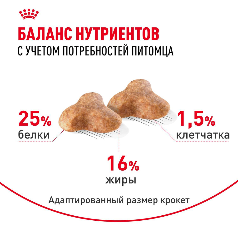 Royal Canin Pug Adult Корм сухой для взрослых собак породы Мопс 1,5 кг