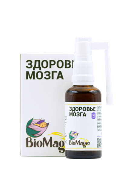 Здоровье мозга