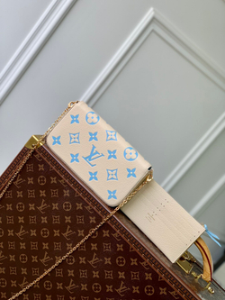 Louis Vuitton Felicie Pochette