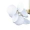 Подвесная люстра Loft IT Matisse 10008/8 White