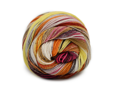 Пряжа Lines du Nord Eclectic Sock (05) 420м/100гр