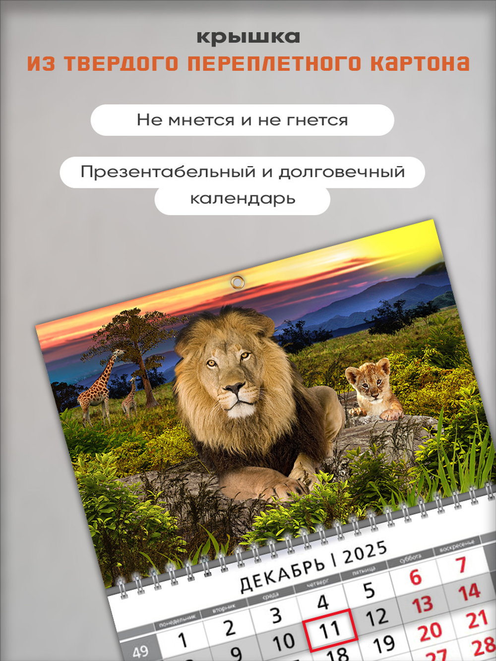 Настенный квартальный трехблочный календарь "Львы"