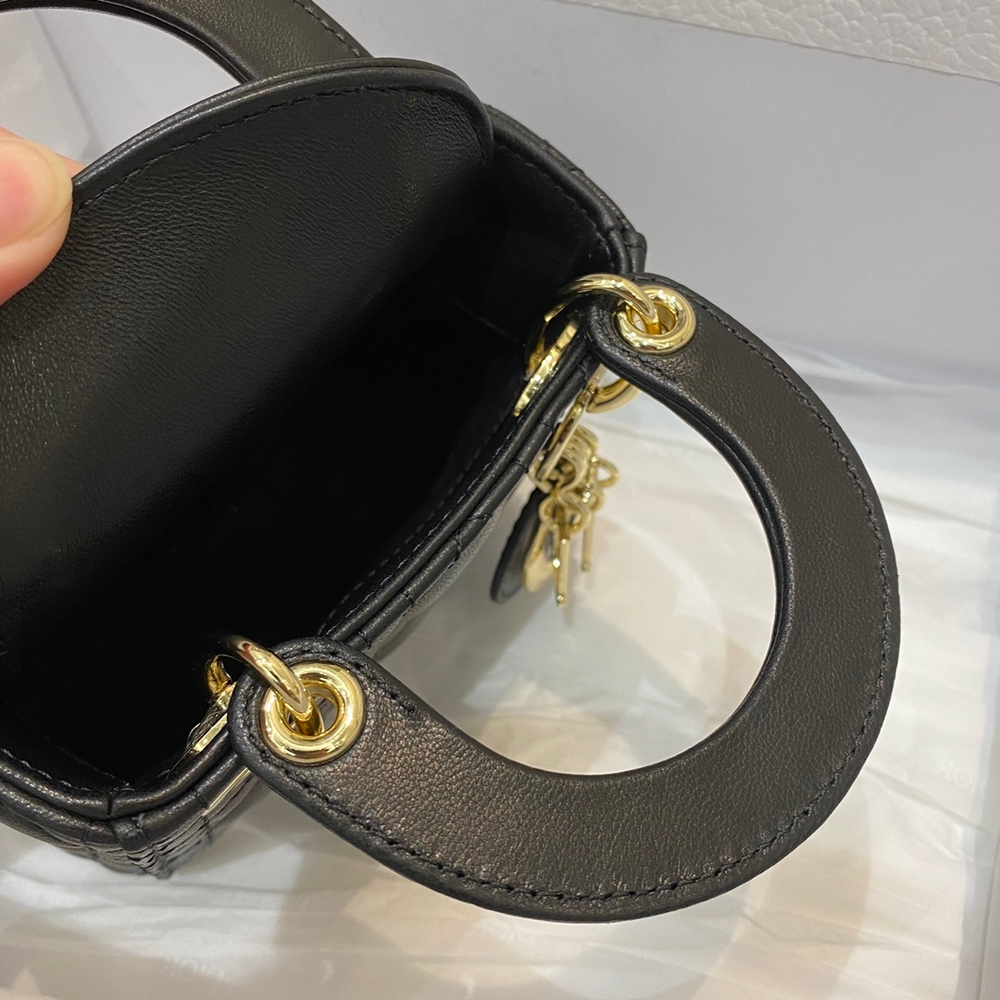 Christian Dior Lady Dior Micro