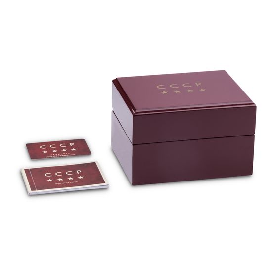 Наручные часы CCCP CP-7009-04 St.Petersburg