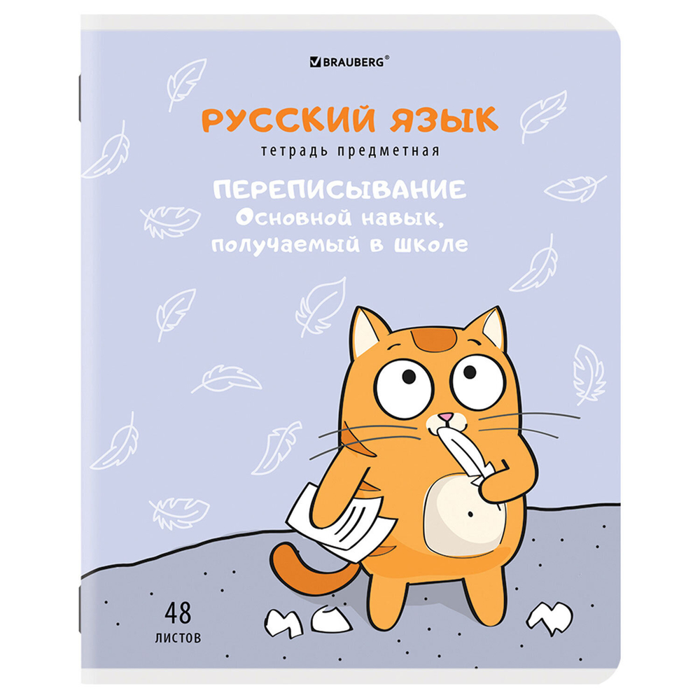 Тетради предметные комплект 12 ПРЕДМЕТОВ 48 л. TWIN-лак BRAUBERG "КОТ-ЭНТУЗИАСТ" (2 штуки в упаковке)