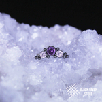 Orion's Belt IG Lavender